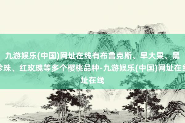 九游娱乐(中国)网址在线有布鲁克斯、早大果、黑珍珠、红玫瑰等多个樱桃品种-九游娱乐(中国)网址在线