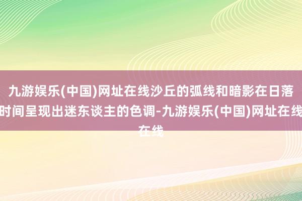 九游娱乐(中国)网址在线沙丘的弧线和暗影在日落时间呈现出迷东谈主的色调-九游娱乐(中国)网址在线