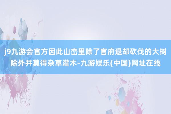 j9九游会官方因此山峦里除了官府退却砍伐的大树除外并莫得杂草灌木-九游娱乐(中国)网址在线