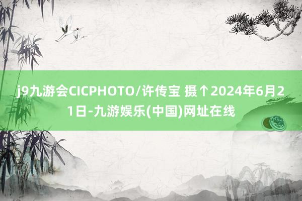 j9九游会CICPHOTO/许传宝 摄↑2024年6月21日-九游娱乐(中国)网址在线