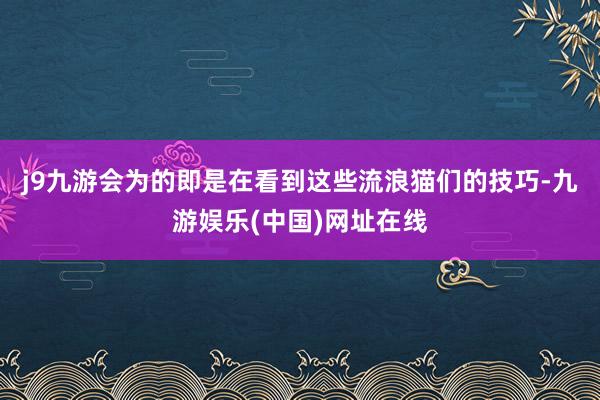 j9九游会为的即是在看到这些流浪猫们的技巧-九游娱乐(中国)网址在线