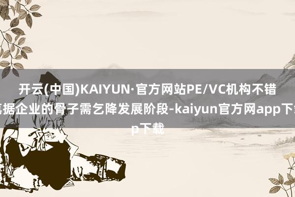 开云(中国)KAIYUN·官方网站PE/VC机构不错笔据企业的骨子需乞降发展阶段-kaiyun官方网app下载