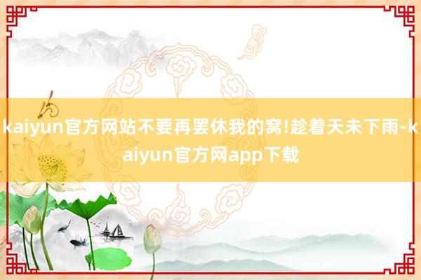 kaiyun官方网站不要再罢休我的窝!趁着天未下雨-kaiyun官方网app下载