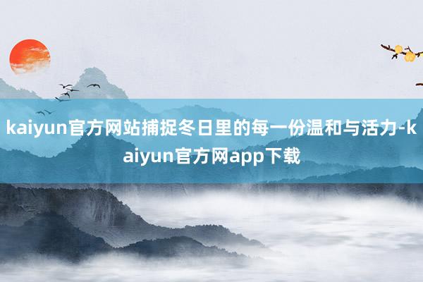 kaiyun官方网站捕捉冬日里的每一份温和与活力-kaiyun官方网app下载