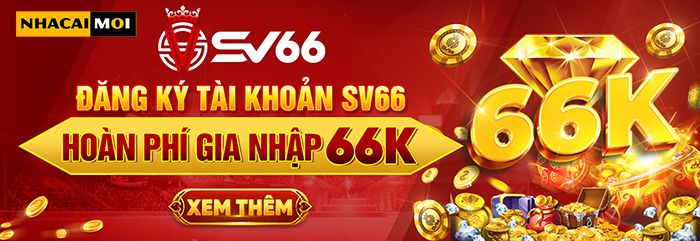 Tại sao nên đặt cược vào các sự kiện thể thao cấp độ Vipwin? - Vipwin