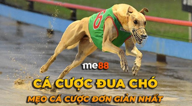 Bạn cần chú ý điều gì khi chơi các game online cấp độ Bj66? - Bj66