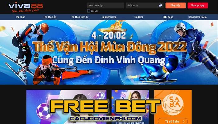 Lợi ích khi xem các trận bóng đá trên kênh 7Ball TV - 7Ball