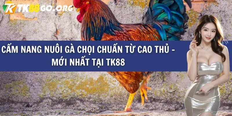 Tổng quan về chương trình hoàn phí bảo trì Oppabet - Oppabet