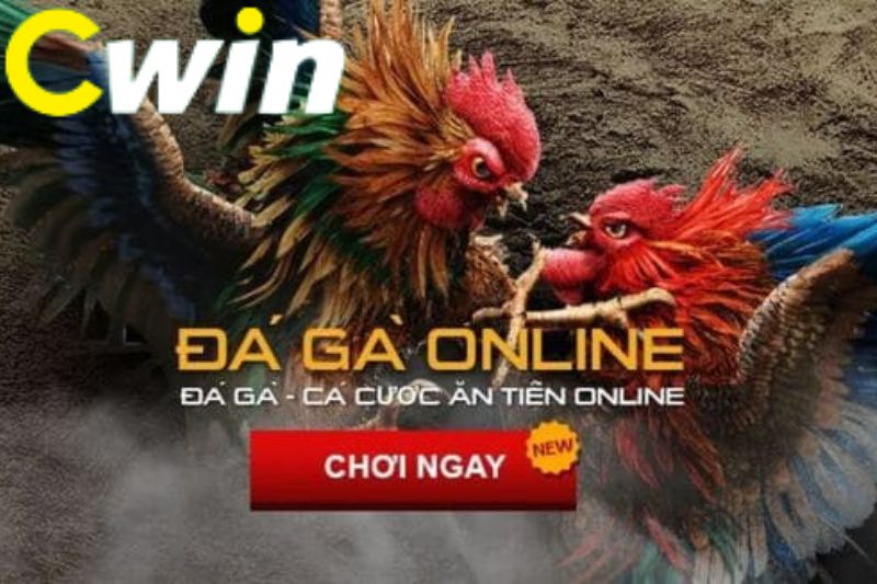 C54 có cung cấp hỗ trợ 24/7 cho người chơi không? - C54