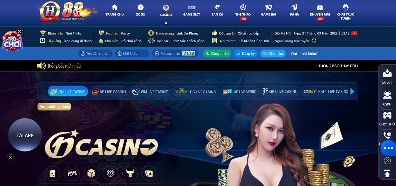 Tại sao bạn muốn tham gia một cuộc thi đá gà cấp độ 68Win? - 68Win