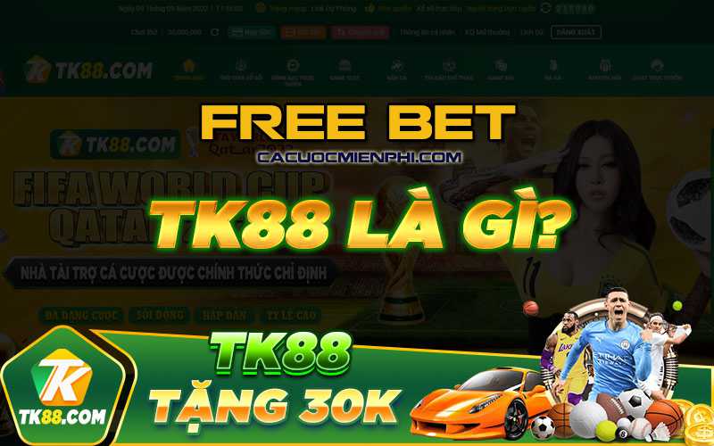Đánh giá tổng quan về trang web Vesovn - Vesovn