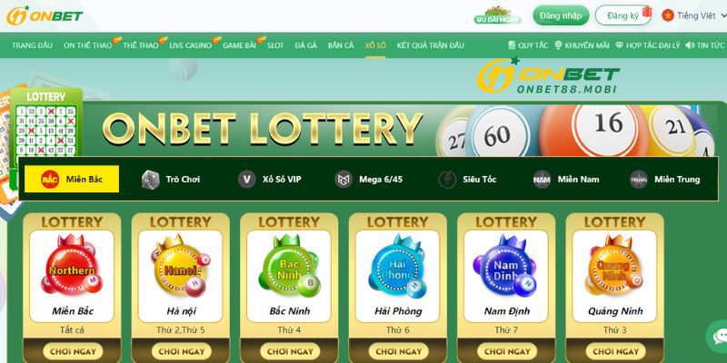 Quyền và trách nhiệm của các quan chức cấp độ 1 999Bet - 999Bet