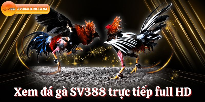 Sảnh chơi bài chính hạng 88Clb của Việt Nam - 88Clb