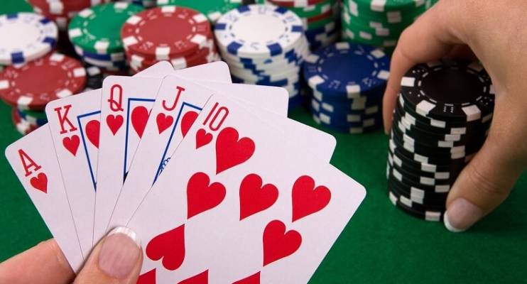 Gà chọi cấp Abcvip có những ưu điểm gì thu hút người chơi? - Abcvip