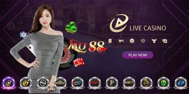 Câu hỏi thường gặp về dịch vụ trực tuyến của 11Bet - 11Bet