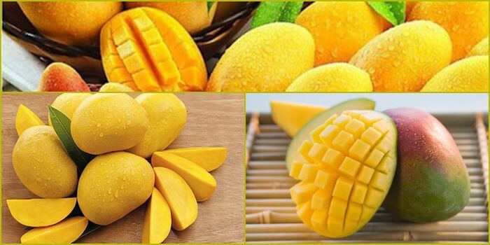 Nhận diện các sản phẩm giả mạo trực tuyến sử dụng thương hiệu 1Xbit cho mục đích gian lận - 1Xbit