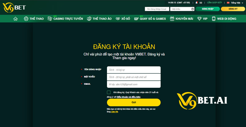 Hướng dẫn dành cho đại lý Vf555 - Vf555