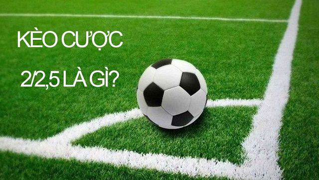 Lợi ích của việc sử dụng King88 - King88