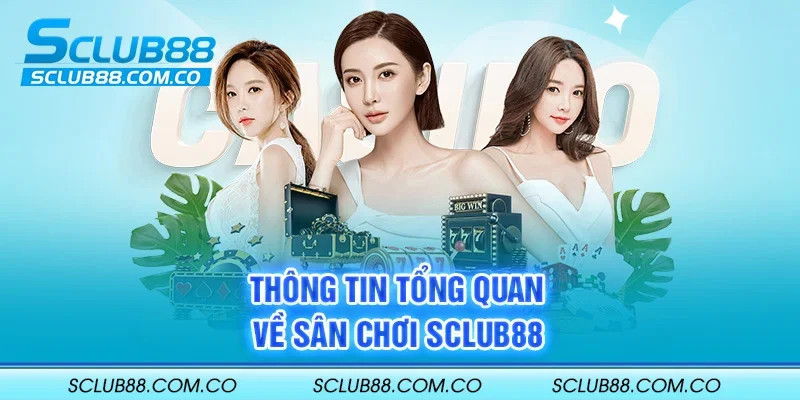 Lợi thế của 66Club nằm ở vị thế là một nền tảng cạnh tranh toàn cầu - 66Club