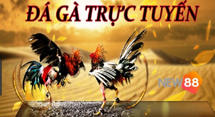 Nhìn chung, chất lượng game ở mức Cv88 - Cv88