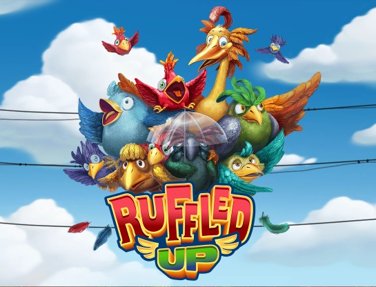 Ruffled Up